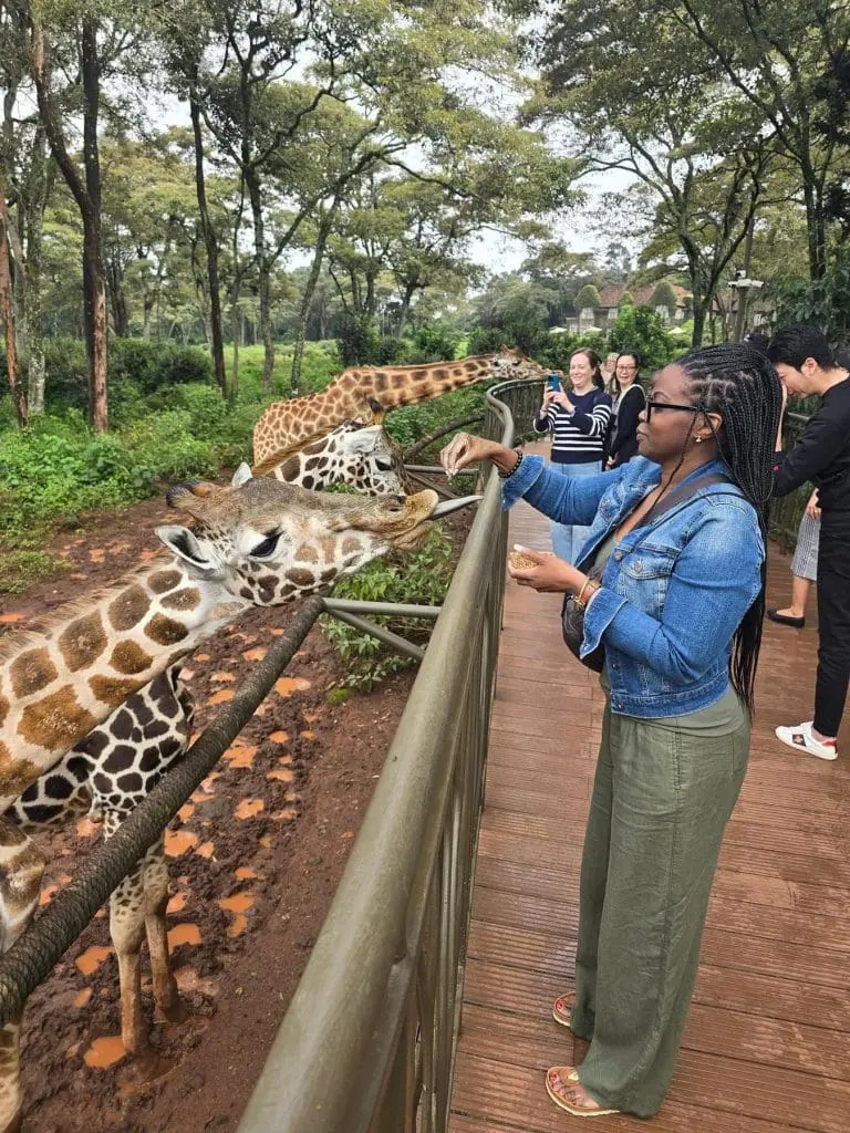 Travel Diva feeding giraffes in Kenya