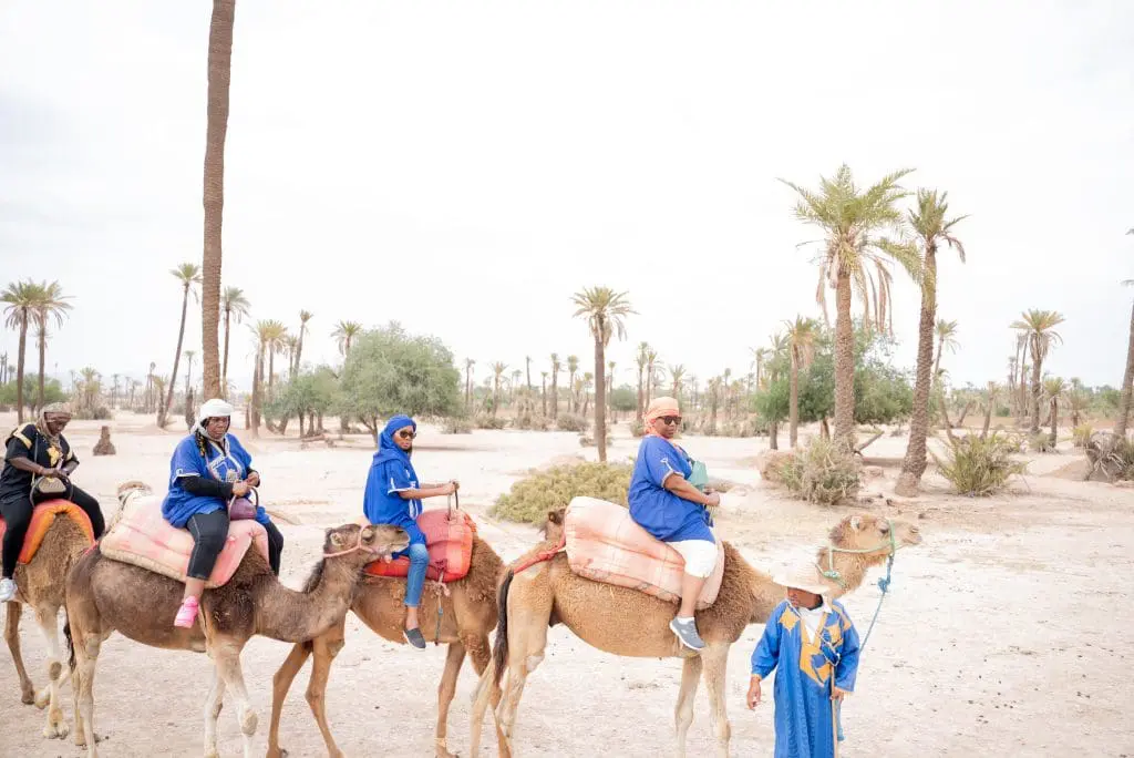 Travel Divas riding on camels in the Moroccan desert