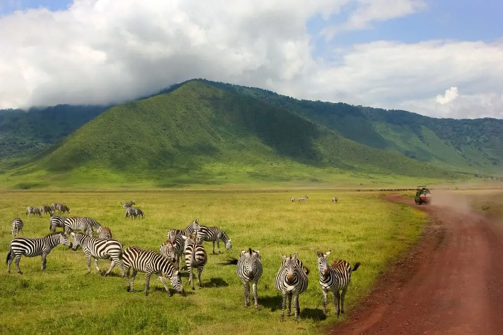 Ngorongoro Crater