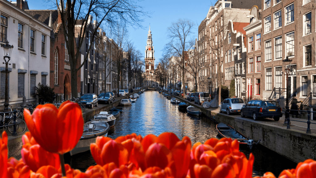 Amsterdam 2024 Travel Divas®