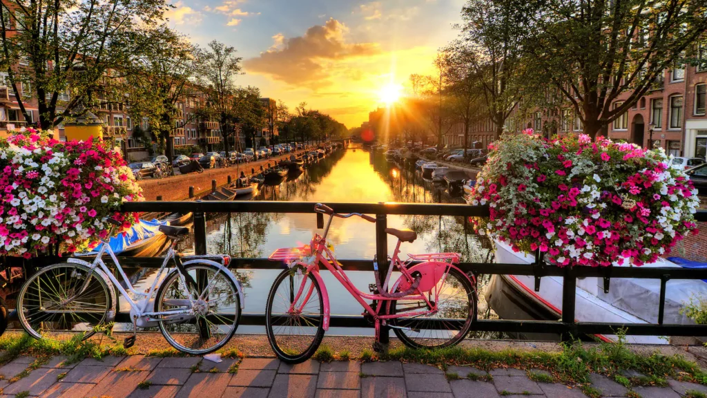 Hyatt Regency Amsterdam P014 Canal View Bike Flowers.16x9 1024x576.webp