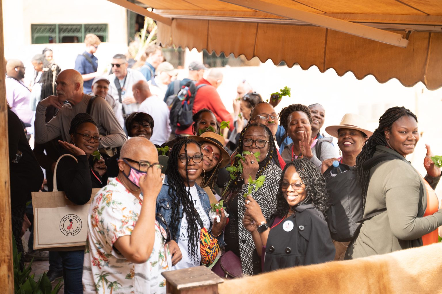 Morocco 2025 - Travel Divas®