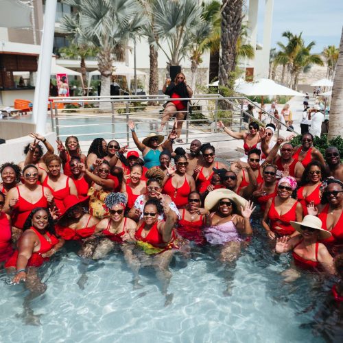 51954392429_8ef4c17577_o