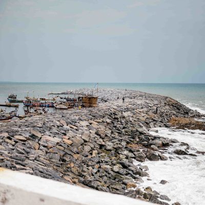 52544416134_6c893bc5e1_k