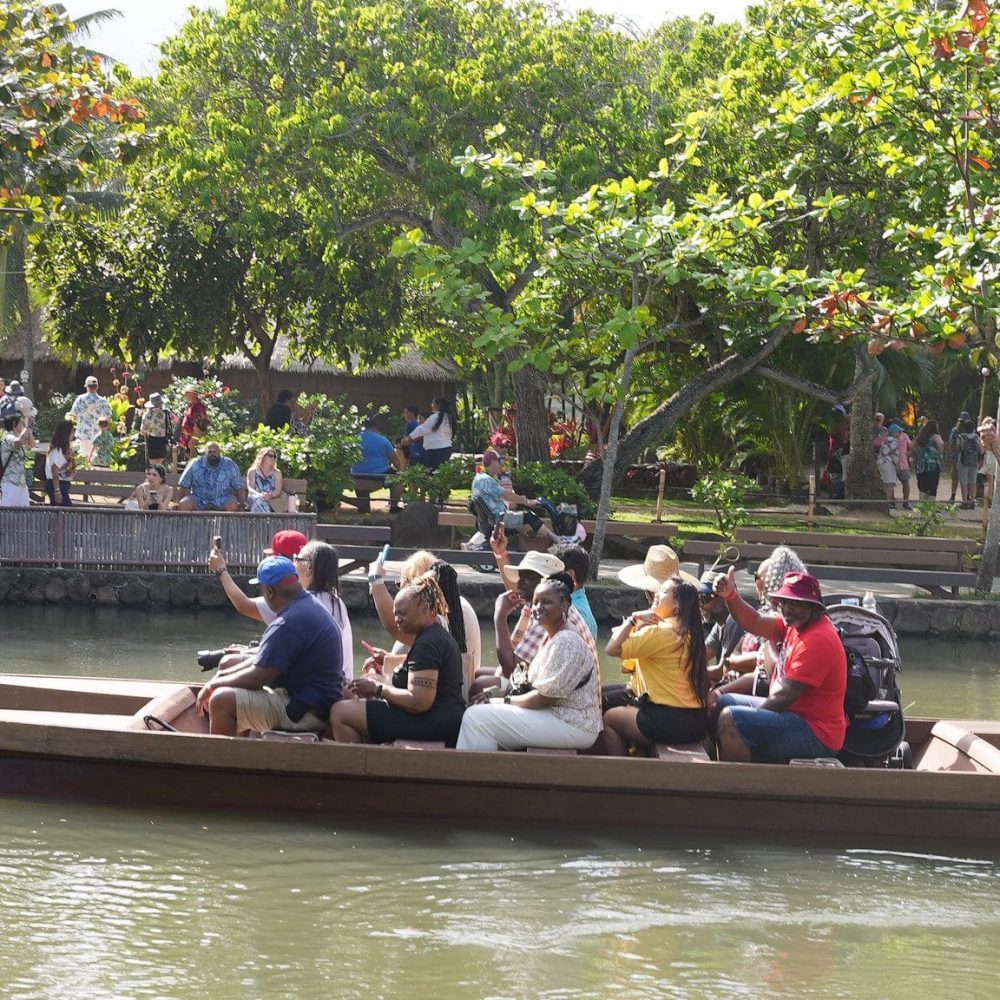 52689550590_d688c1c77f_k