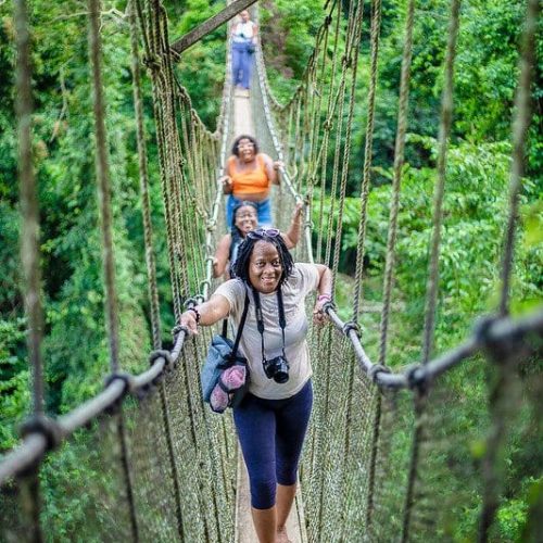 52742689118_0b68c93bfe_c