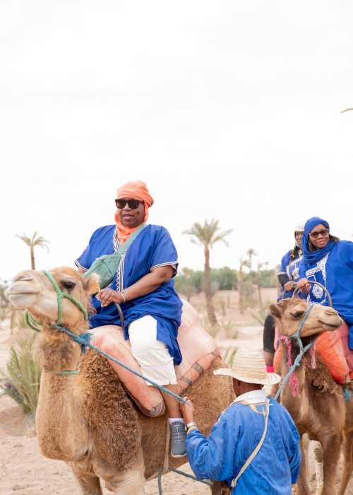 52942955878_8fe37ee6ec_k