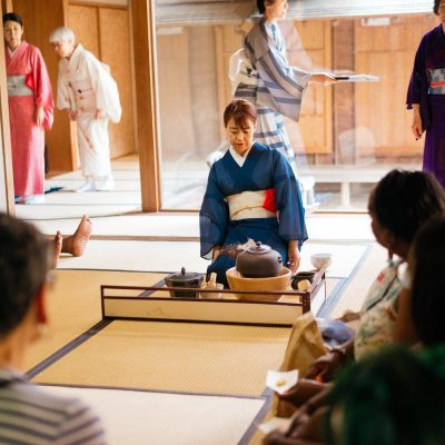 53103381159_888db95191_k