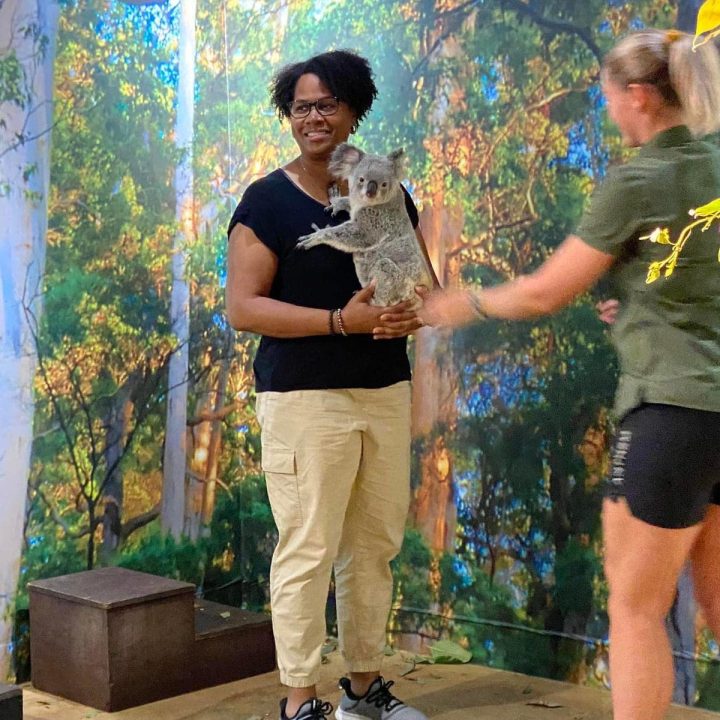 53766385903_403853c281_h