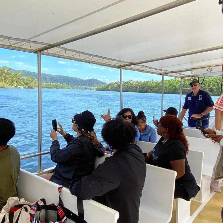 53766522224_a39dd990d6_b