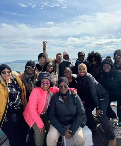 53878796198_ff29c96c96_b