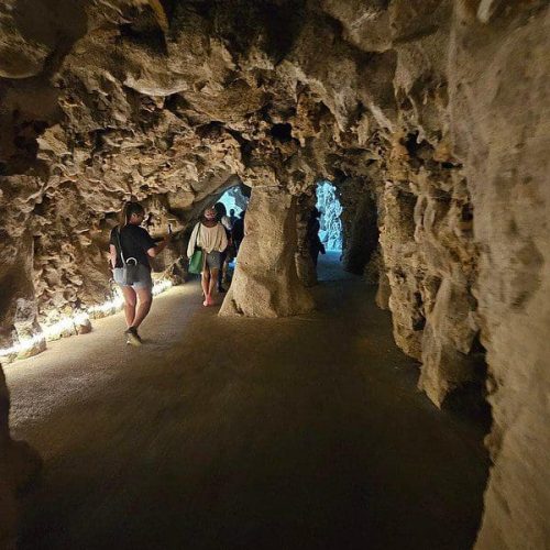 54211113653_ec1d038b43_c