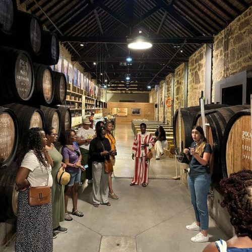 54211283490_534d9ee607_c