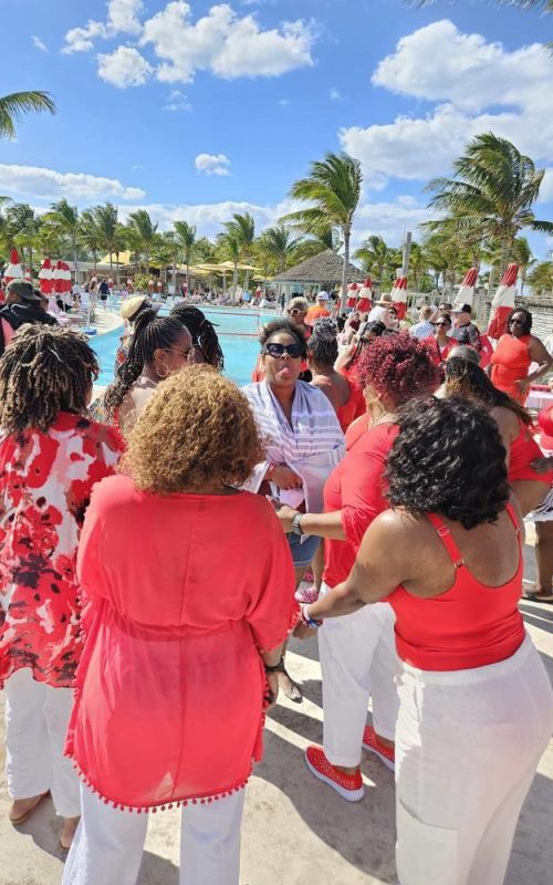 54339327467_6ca696f366_b