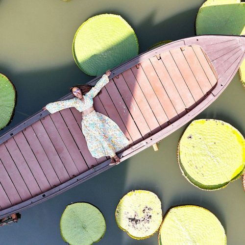 54340342536_78c3337ef1_k