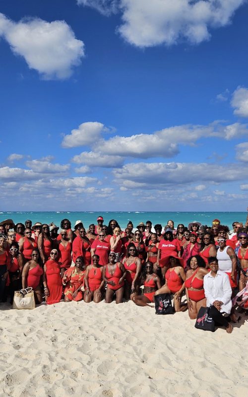 54340451328_28710eed57_k