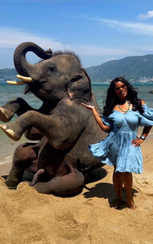 54340764090_5ba9a9132a_h