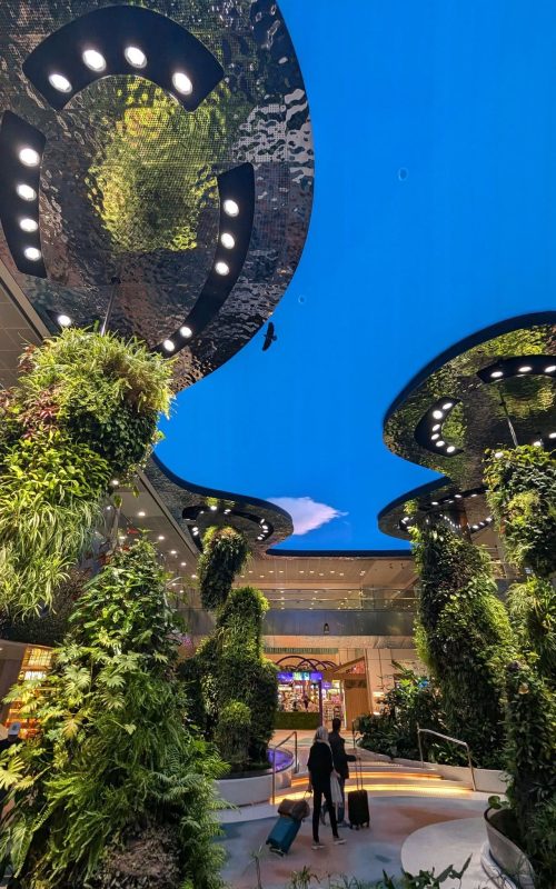 54342157264_3798500c74_k