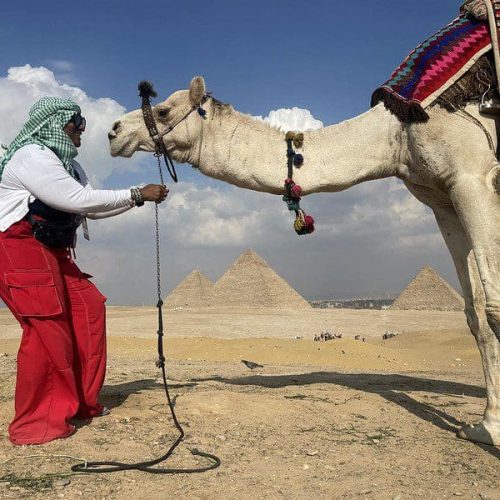 54399798238_6f7aa76ed1_c