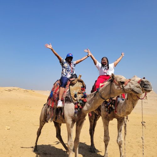 54472637122_436fc05ab8_k