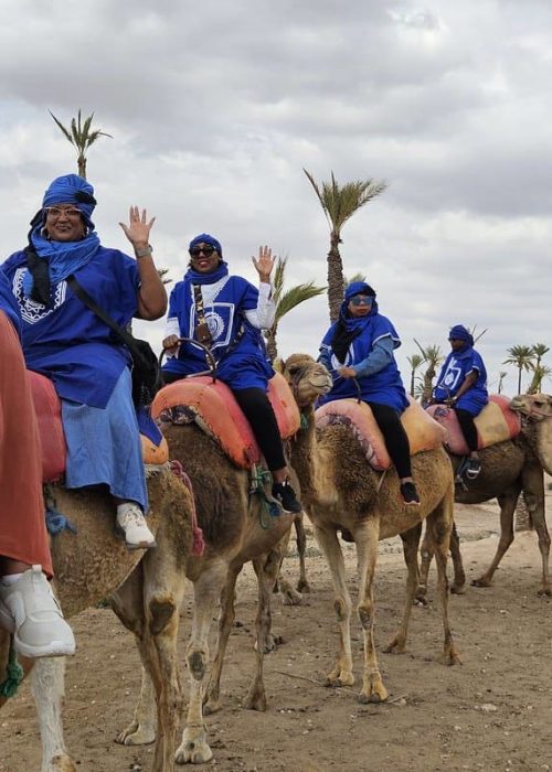 54584729406_d21f55deb5_c