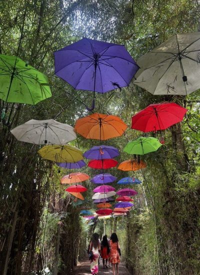 54748433691_682963f0fe_c