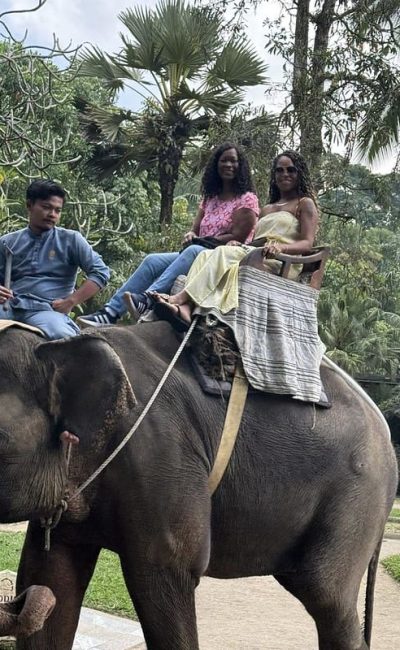 54748657329_a220f47ffc_c