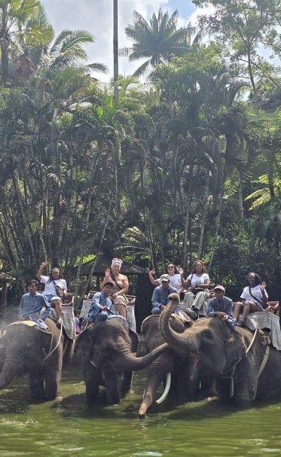 54748658329_44dc2c1a73_c