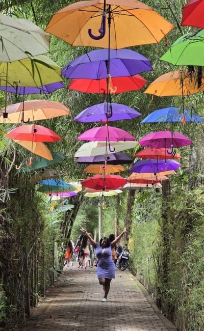 54748773995_afe47d0861_c