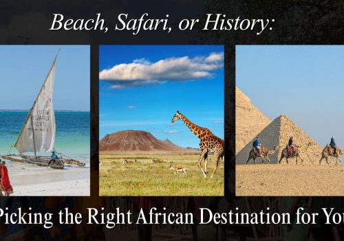 3 African location images of a beach, safari and historical. Zanzibar beach and Great Pyramids in Egypt