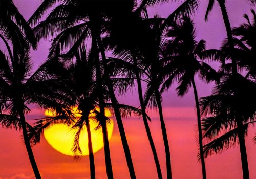 USA, Hawaii, Oahu, Honolulu, Ala Moana Park, sunset at Magic Island
