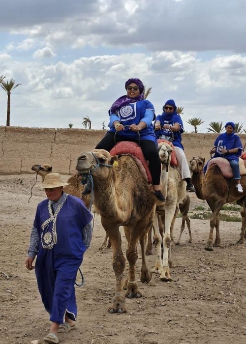 Morocco (50)
