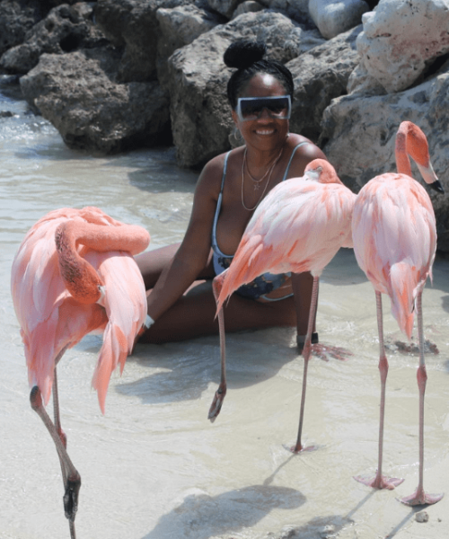 TD- Aruba- beach- Flamingos
