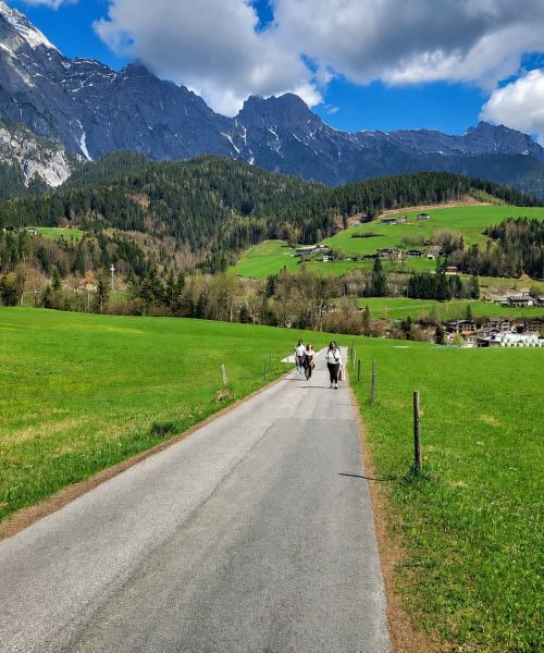 TD_Austria Unplugged (2)
