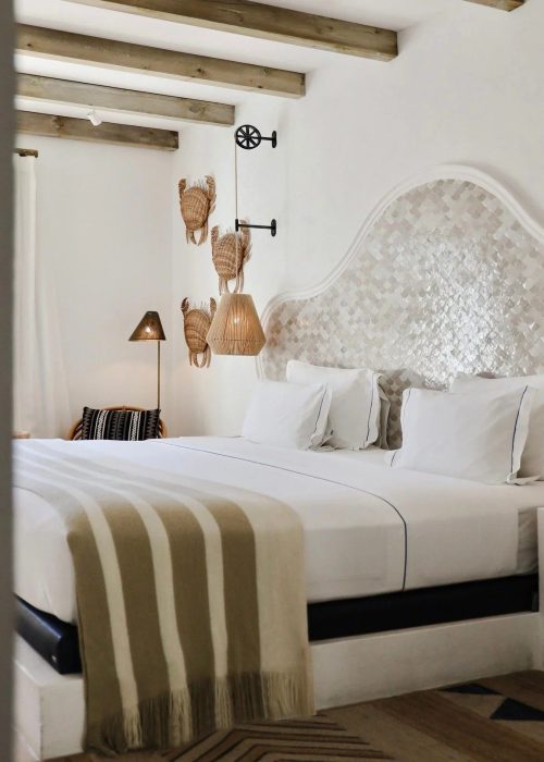 imgi_109_image-asset