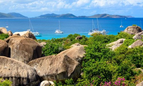 imgi_67_12270113_870x696