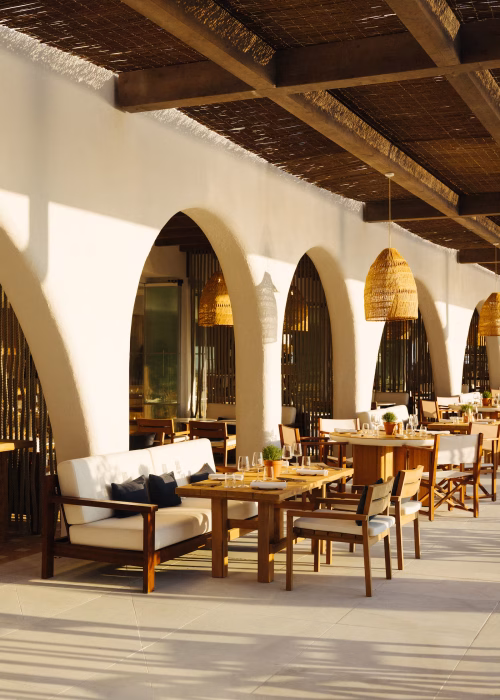 ktTf8qG7xeA4EZuKNHhL